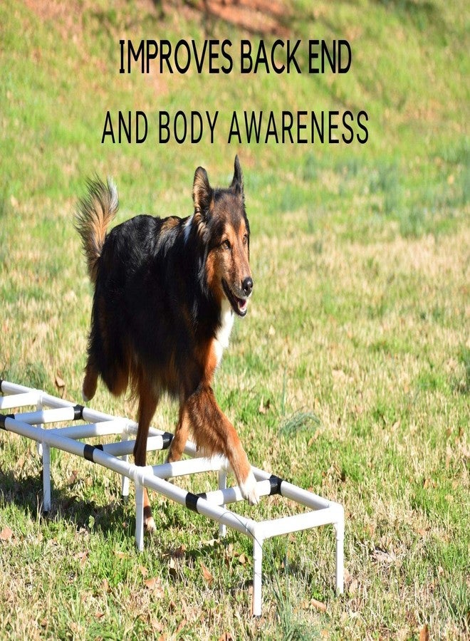 سلم تدريب رشاقة الكلاب الرياضية من Better Sporting Dogs | معدات تدريب رشاقة الكلاب | معدات تدريب الكلاب - Image 5